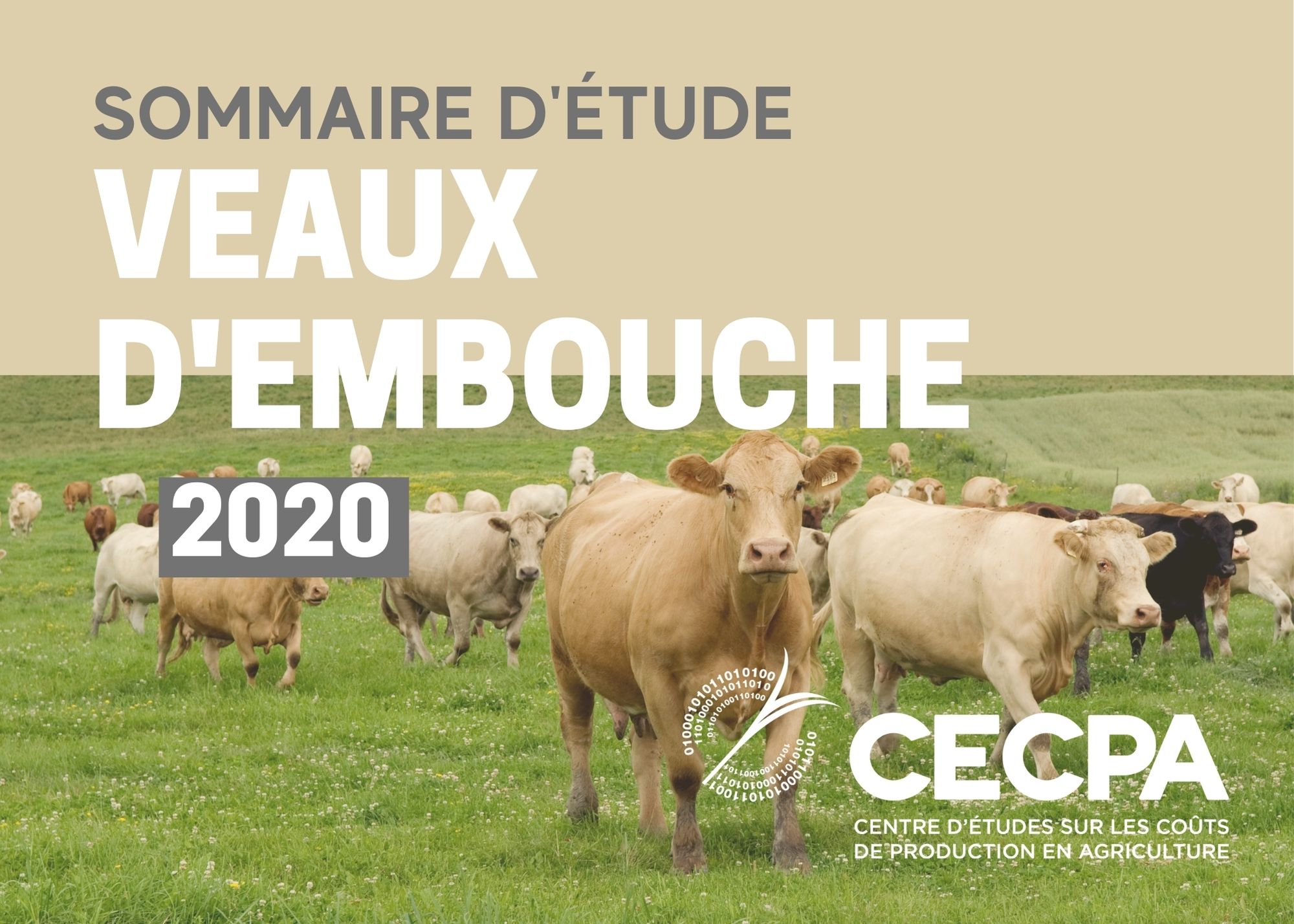 Études de coûts de production : SOMMAIRE - COÛT DE PRODUCTION - VEAUX D'EMBOUCHE 2020